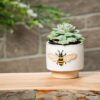Cache-pot Abeille