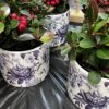 Cache-pot Chintz