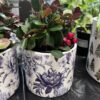 Cache-pot Chintz