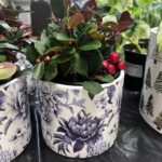 Cache-pot Chintz